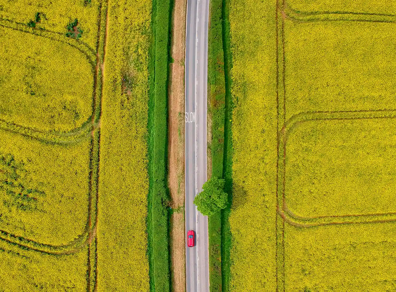 Skåne Drönare Drönarbild i Skåne på landskap Maryhill