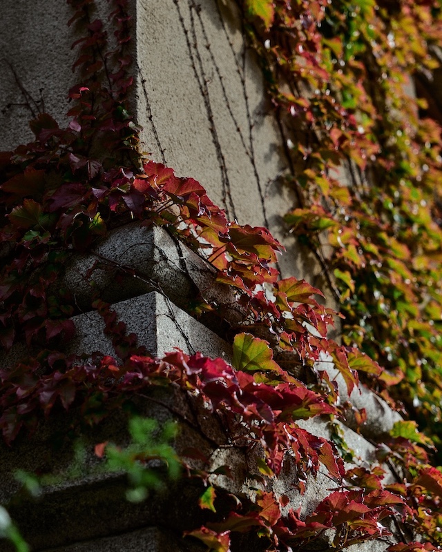 Maryhill Estate – Details2