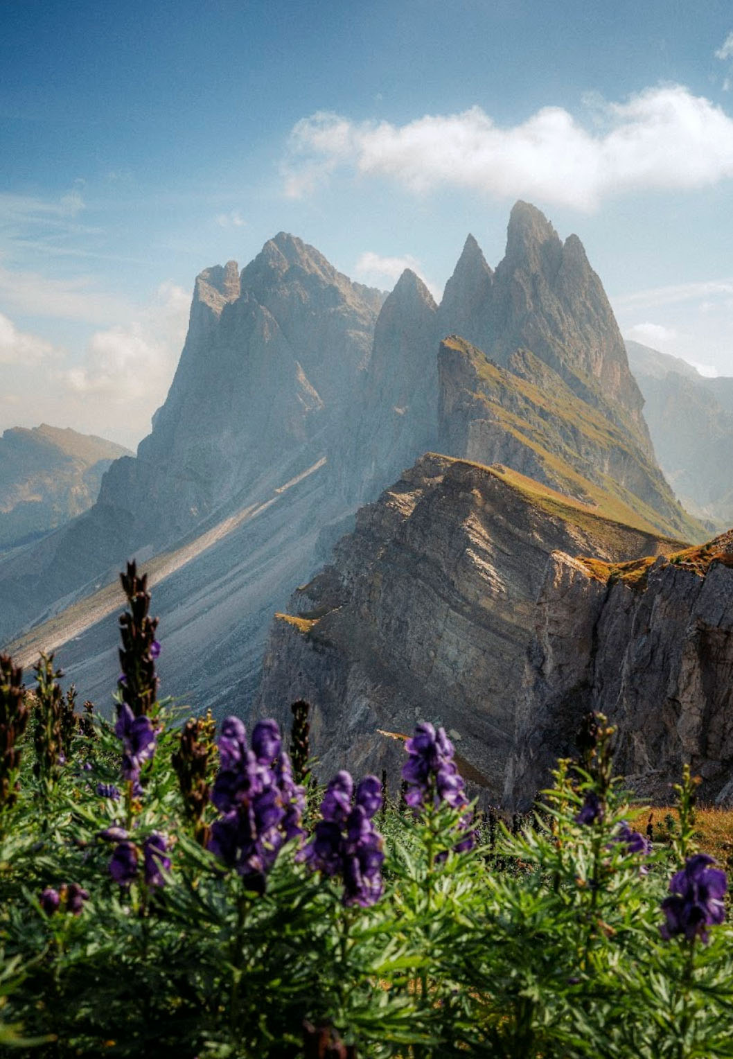 Maryhill – MIchael Boegl – Flowers on Seceda